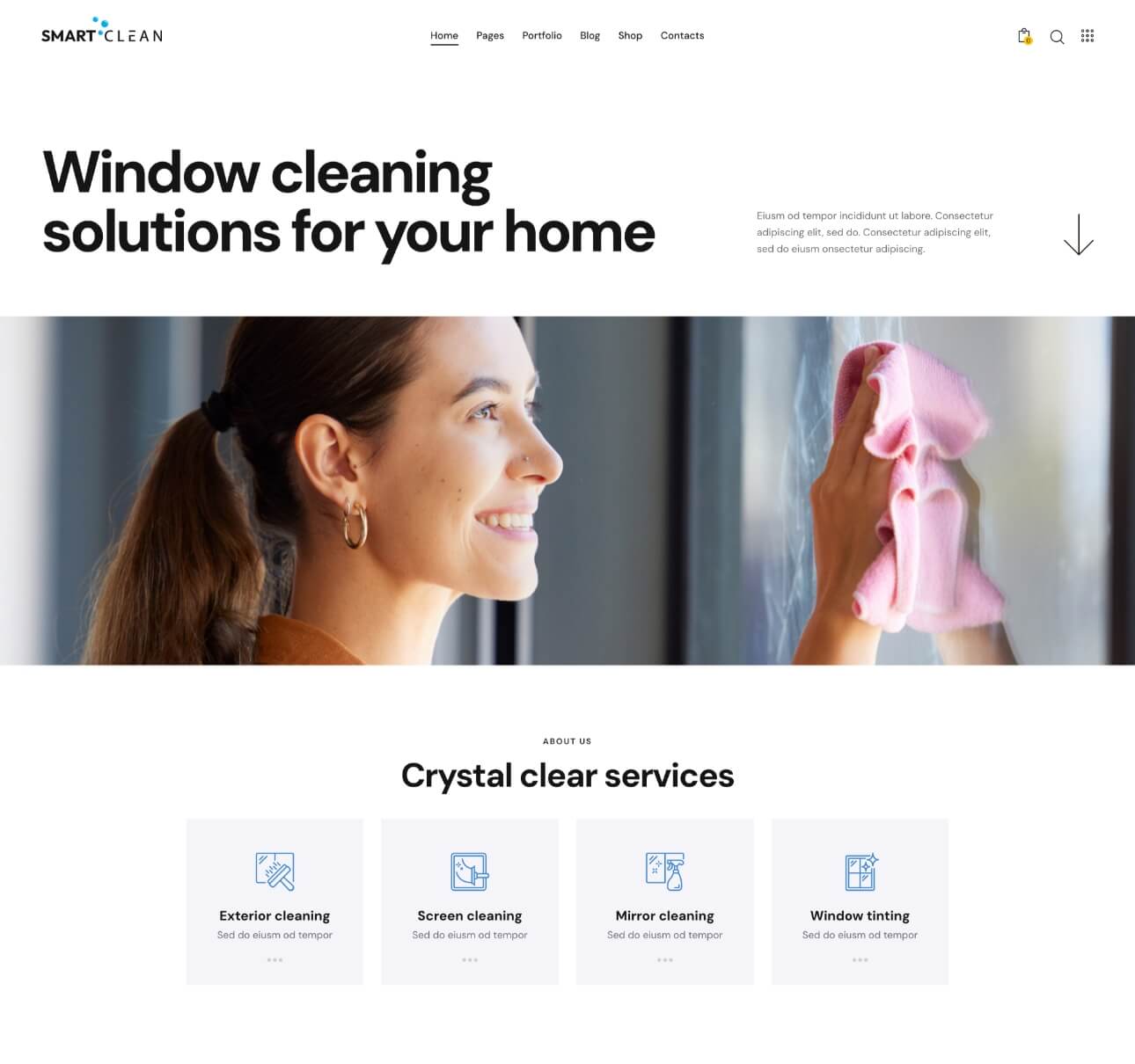 Window Cleaning